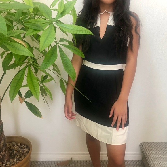 Dresses & Skirts - Black and White Midi Dress